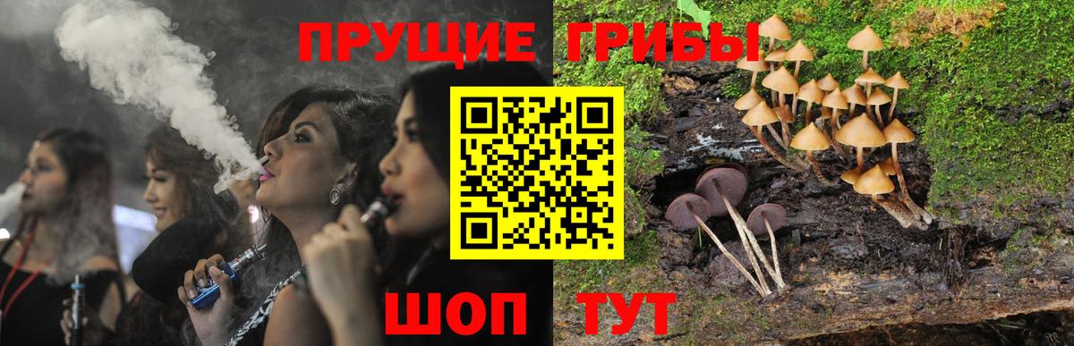 Псилоцибиновые грибы прущие грибы  Галлюциногенные грибы Psilocybine cubensis  Вход с VPN  Чусовой 